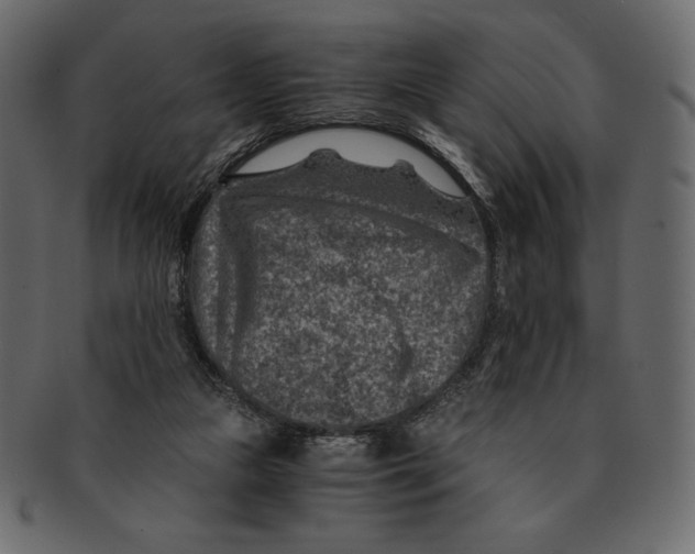 X0000091360161200709071311