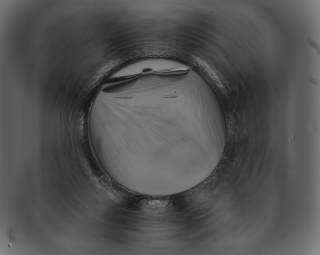 X0000091360163200709071311