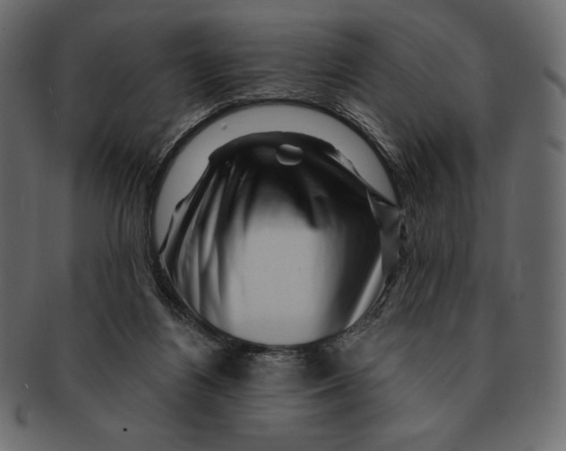 X0000091360164200709071311