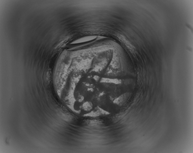 X0000091360165200709071311