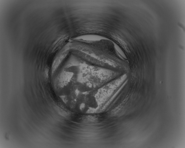 X0000091360166200709071311