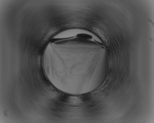 X0000091360167200709071311