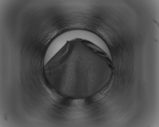 X0000091360168200709071311