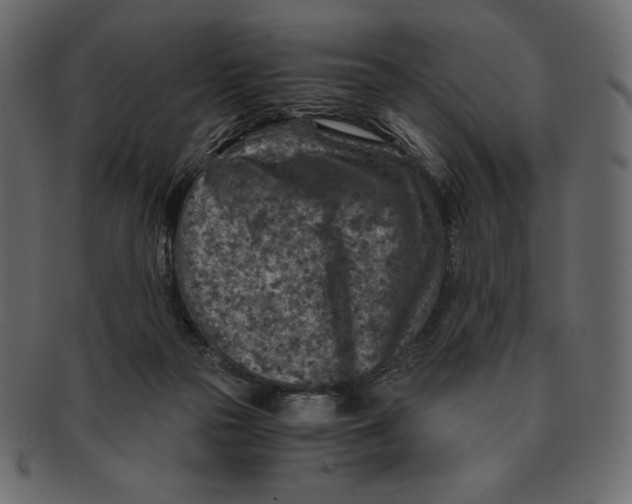 X0000091360169200709071311