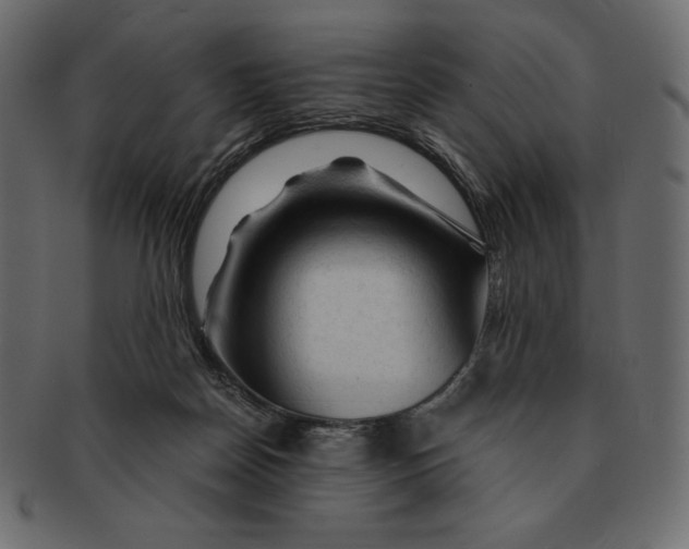 X0000091360170200709071311