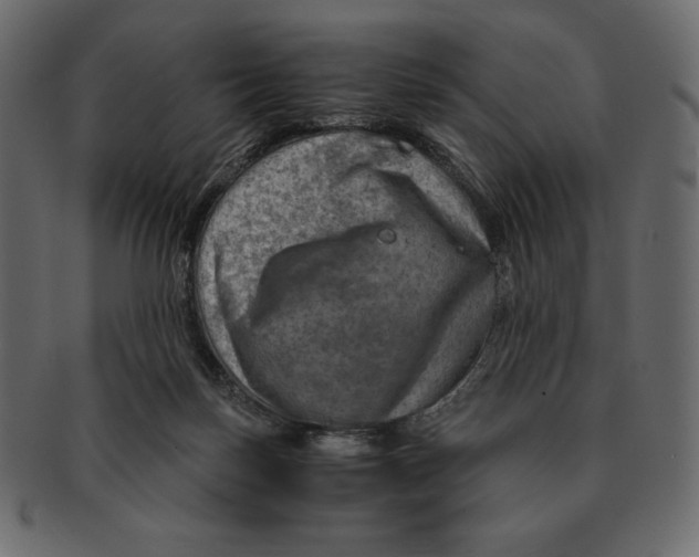 X0000091360171200709071311