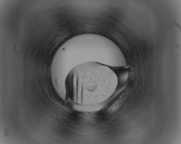 X0000091360172200709071311