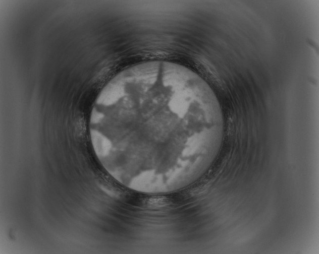 X0000091360173200709071311