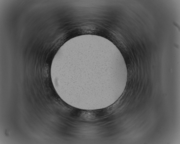 X0000091360174200709071311