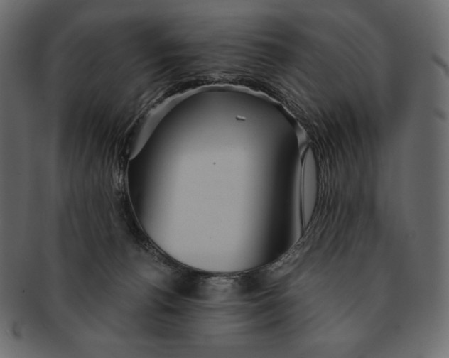 X0000091360176200709071311