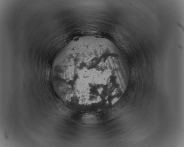 X0000091360177200709071311