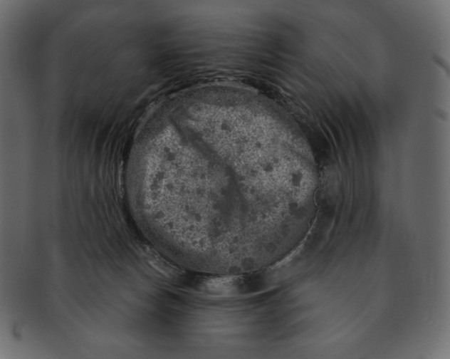 X0000091360178200709071311