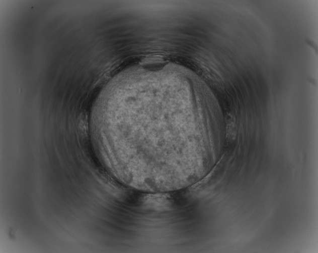 X0000091360179200709071312