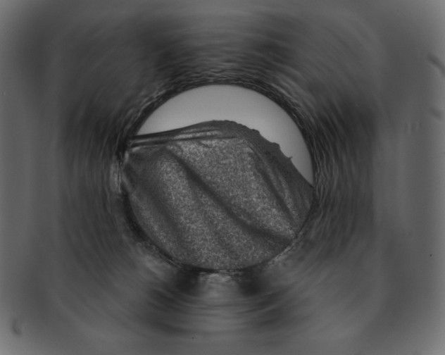 X0000091360180200709071312