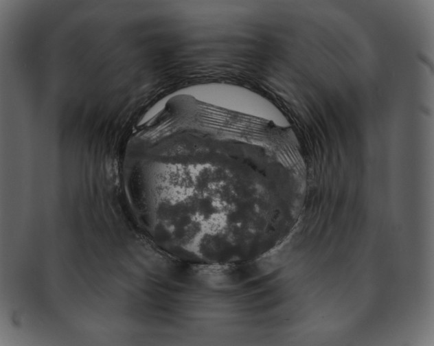 X0000091360182200709071312