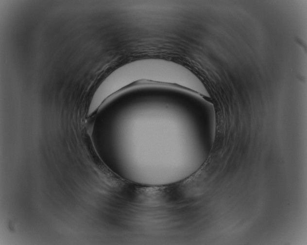 X0000091360184200709071312