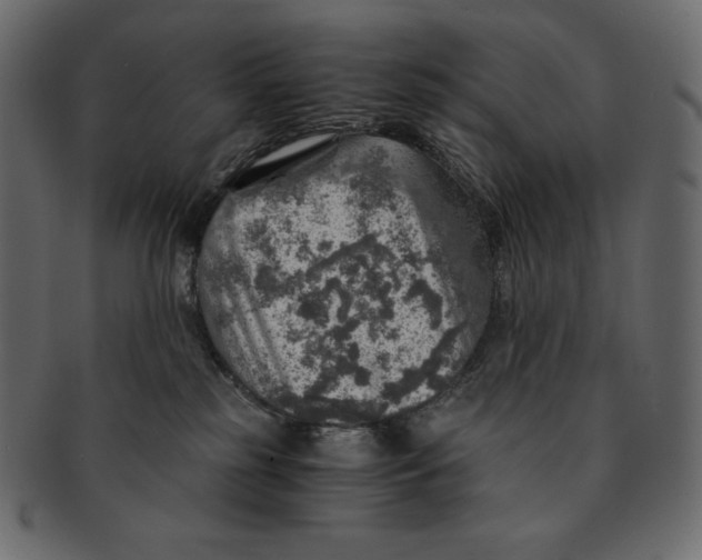 X0000091360185200709071312