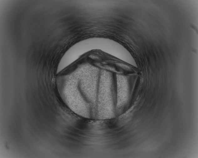 X0000091360186200709071312