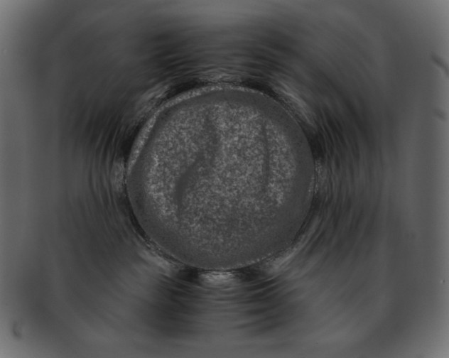 X0000091360189200709071312