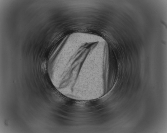 X0000091360190200709071312