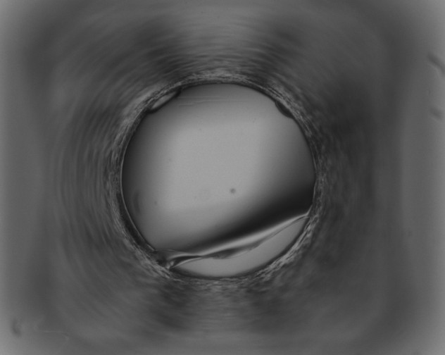 X0000091360193200709071311