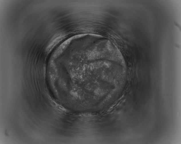 X0000091360194200709071311