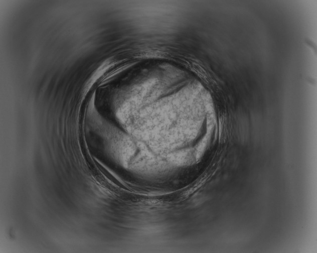 X0000091360195200709071311