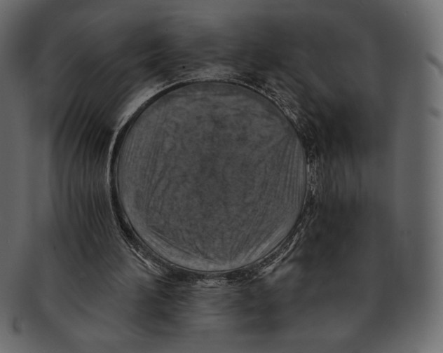 X0000091360196200709071311