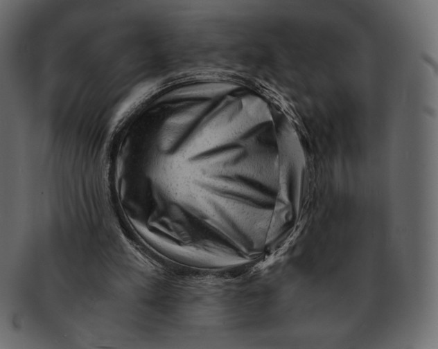 X0000091360197200709071311