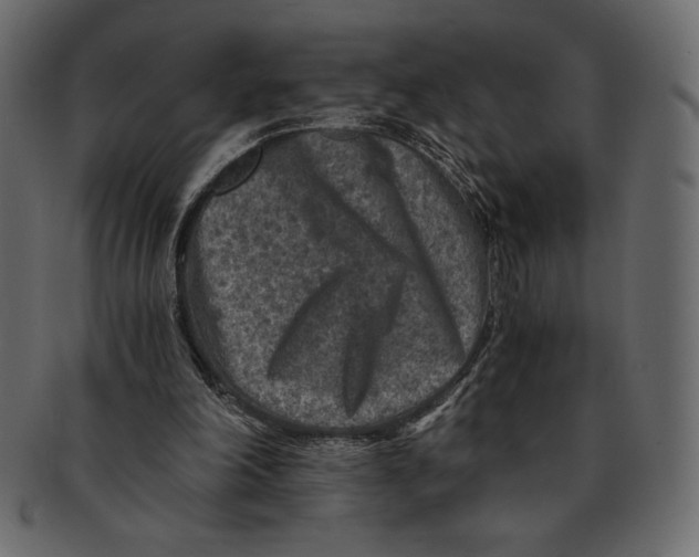 X0000091360198200709071311