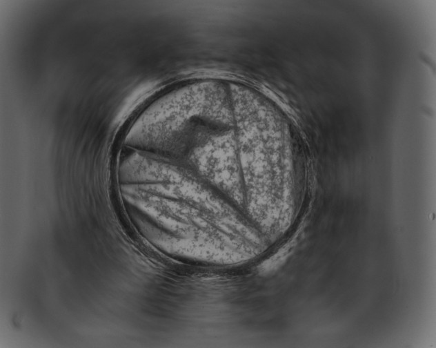 X0000091360199200709071311