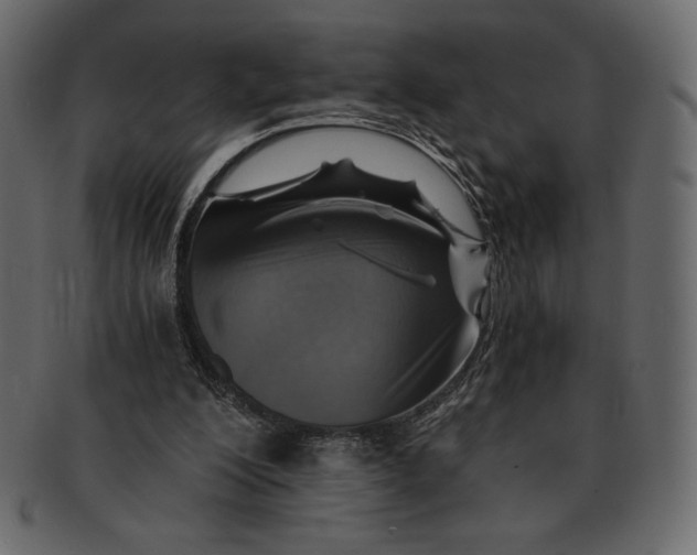 X0000091360200200709071311