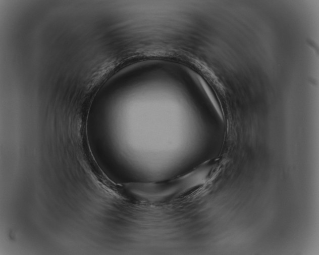 X0000091360201200709071311