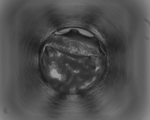 X0000091360202200709071311