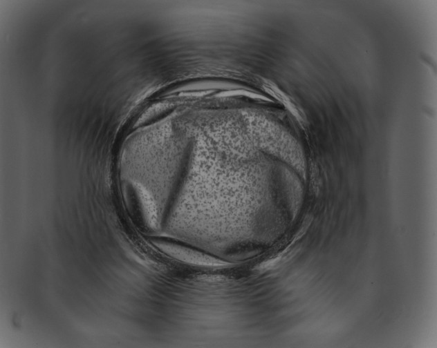 X0000091360203200709071311