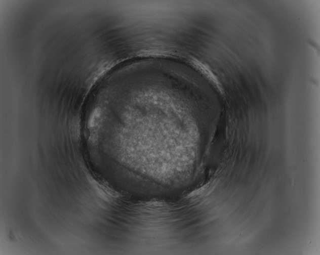 X0000091360204200709071311