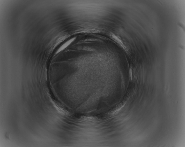 X0000091360205200709071311