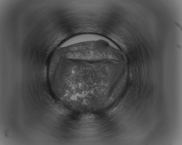 X0000091360206200709071311