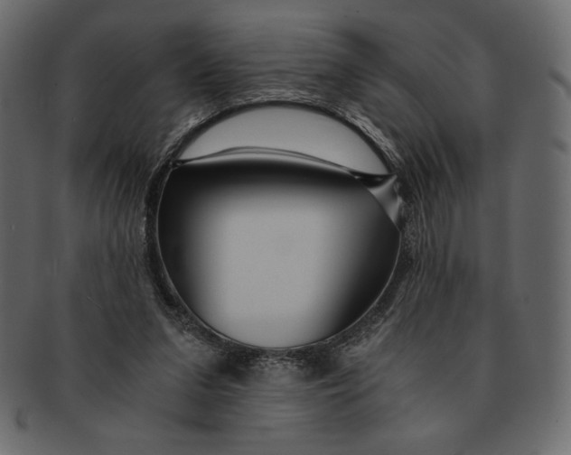 X0000091360207200709071311