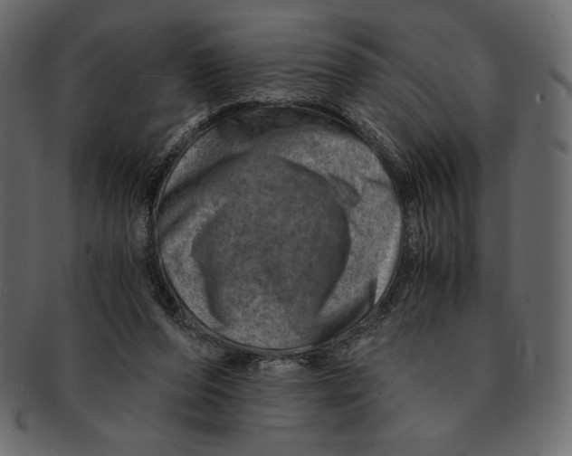 X0000091360208200709071311