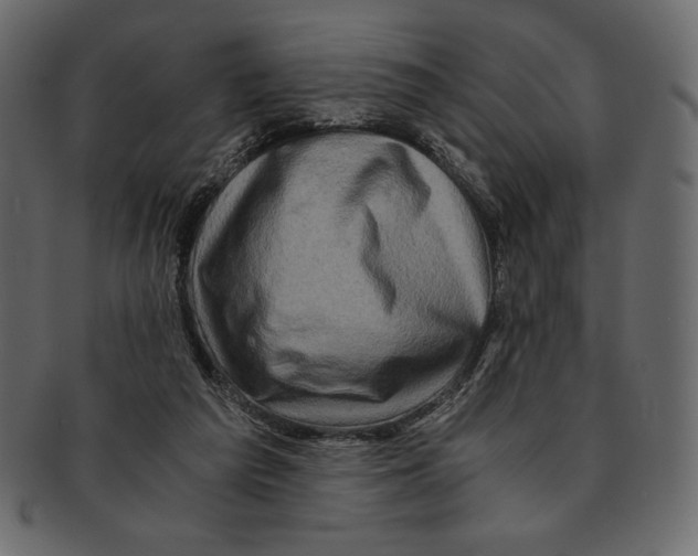 X0000091360209200709071311