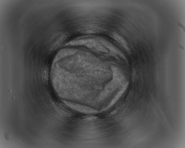 X0000091360210200709071311