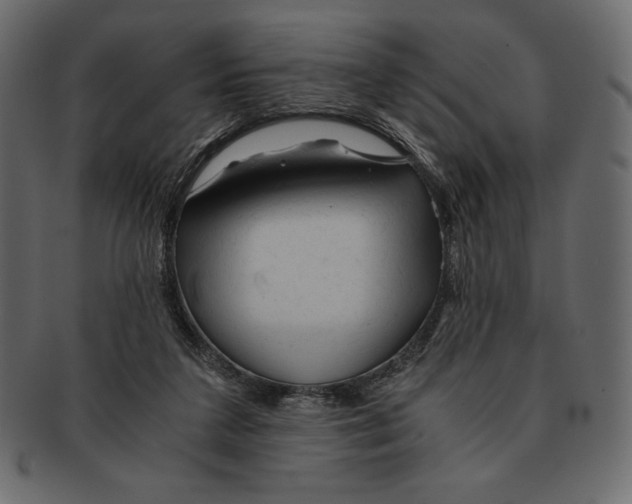 X0000091360211200709071311