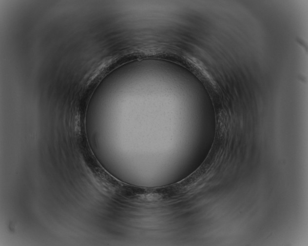 X0000091360212200709071311