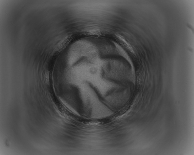 X0000091360213200709071311