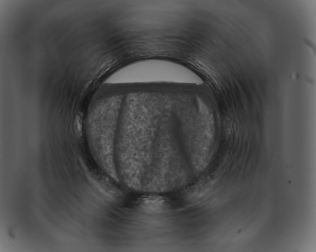 X0000091360214200709071311