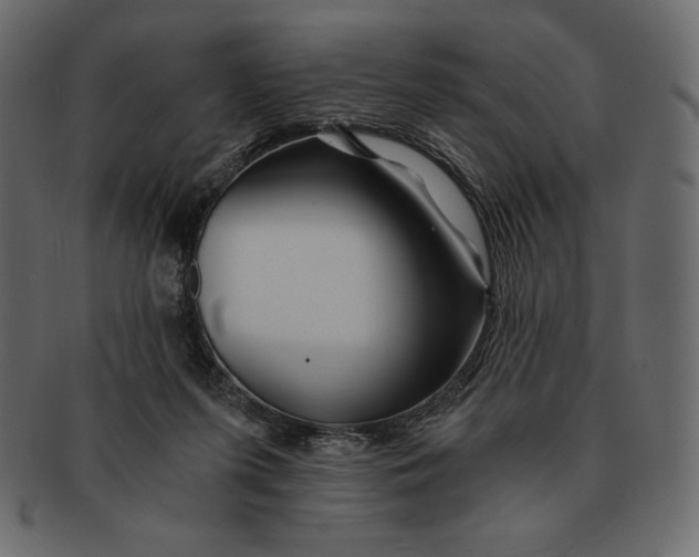 X0000091360215200709071311