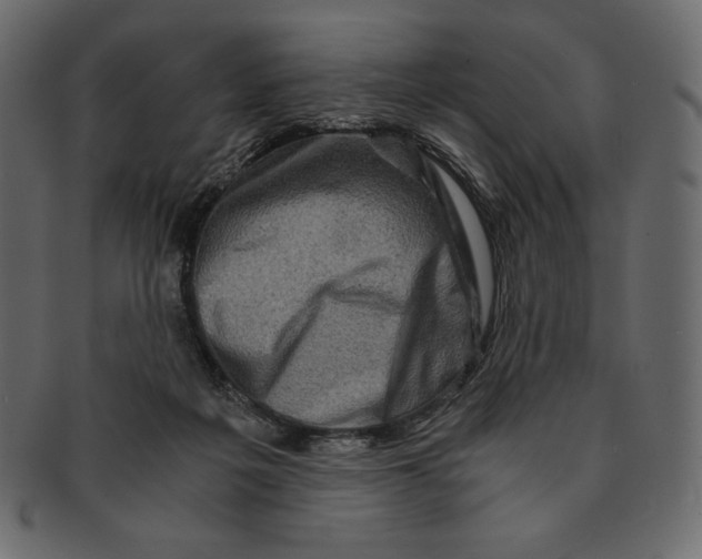 X0000091360217200709071311