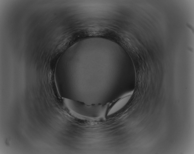 X0000091360219200709071311