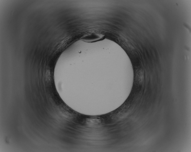 X0000091360220200709071311